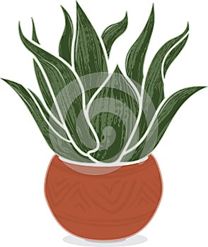 Stylized agave plant in Mexican terra-cotta pot