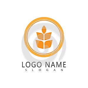 Stylized Agriculture wheat Logo Template vector icon design