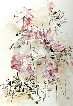 Stylized aquarelle drawing of Cosmos flowers