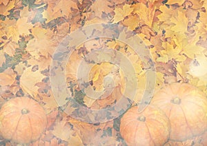 Stylized autumn background with leaves and pumpkins in golden tones