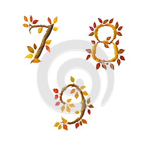 Stylized autumn leaf tree alphabet - digits 7-9