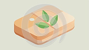A stylized bar of soap wrapped in biodegradable paper with a leaf motif emphasizing ecofriendliness and natural