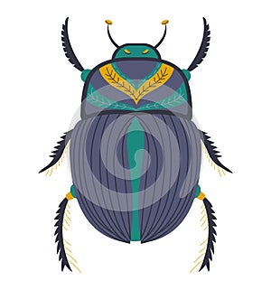 Stylized beetle illustration with intricate patterns. Artistic bug design with decorative elements. Entomology and