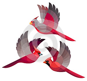 Stylized Birds - Cardinal