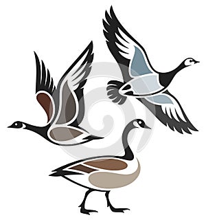 Stylized Birds in flight