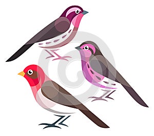 Stylized Birds - Rosefinches