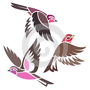 Stylized Birds - Rosefinches in flight