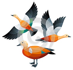 Stylized Birds - Shelduck