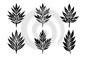 Stylized Black Leaf Silhouettes Vector Set