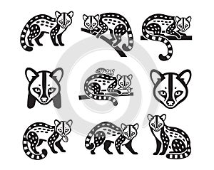 Stylized black and white vector set of Genets viverrids in various poses, featuring distinct spot and mask patterns. Wild