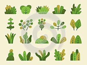 Stylized bushes. Green grass leaves and bushes collection for gardenning backgrounds recent vector flat templates set