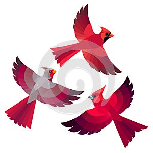 Stylized Cardinals in flight