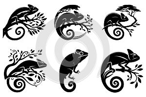 Stylized Chameleon Vector Set Reptile & Lizard Silhouette Illustrations photo