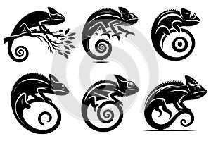 Stylized Chameleon Vector Set Reptile & Lizard Silhouette Illustrations photo