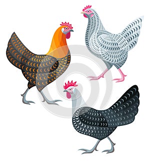 Stylized Chickens - Hens