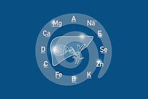 Stylized clockface with essential vitamins and microelements for human health, hand drawn human Gall Bladder, dark blue background