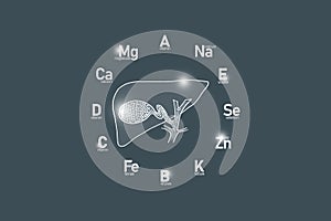 Stylized clockface with essential vitamins and microelements for human health, hand drawn human Gall Bladder, dark grey background
