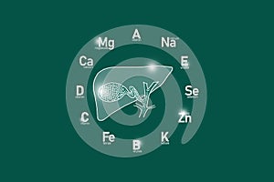 Stylized clockface with essential vitamins and microelements for human health, hand drawn human Gall Bladder, deep green backgroun