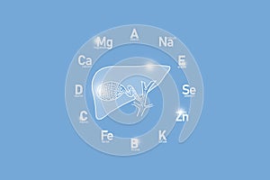 Stylized clockface with essential vitamins and microelements for human health, hand drawn human Gall Bladder, light blue backgroun