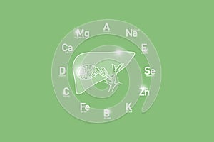 Stylized clockface with essential vitamins and microelements for human health, hand drawn human Gall Bladder, light green backgrou