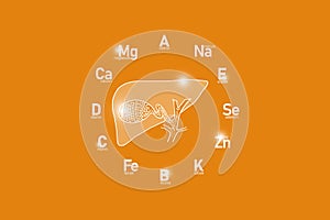 Stylized clockface with essential vitamins and microelements for human health, hand drawn human Gall Bladder, orange background.