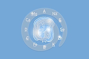 Stylized clockface with essential vitamins and microelements for human health, hand drawn human Intestine, light blue background.