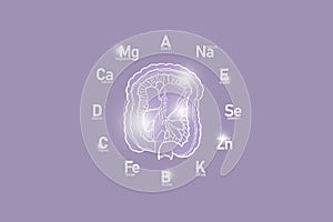 Stylized clockface with essential vitamins and microelements for human health, hand drawn human Intestine, lilac background.