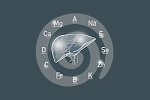 Stylized clockface with essential vitamins and microelements for human health, hand drawn human Liver, dark grey  background.