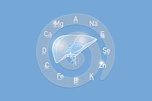 Stylized clockface with essential vitamins and microelements for human health, hand drawn human Liver, light blue background.