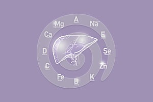 Stylized clockface with essential vitamins and microelements for human health, hand drawn human Liver, lilac background.