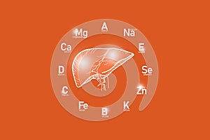 Stylized clockface with essential vitamins and microelements for human health, hand drawn human Liver, red background.