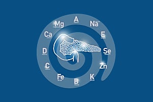 Stylized clockface with essential vitamins and microelements for human health, hand drawn human Pancreas, dark blue background.