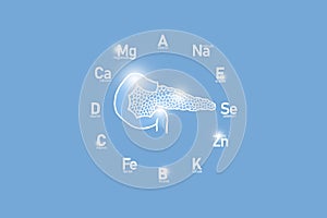 Stylized clockface with essential vitamins and microelements for human health, hand drawn human Pancreas, light blue background.