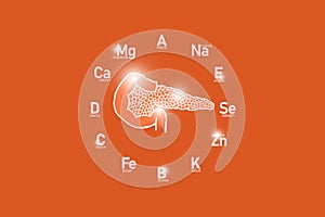 Stylized clockface with essential vitamins and microelements for human health, hand drawn human Pancreas, red background.