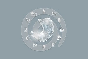 Stylized clockface with essential vitamins and microelements for human health, hand drawn human Stomach, grey background.