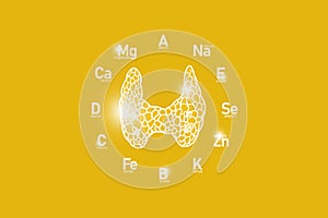 Stylized clockface with essential vitamins and microelements for human health, hand drawn human Thyroid Gland, yellow background.