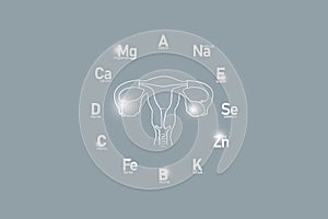 Stylized clockface with essential vitamins and microelements for human health, hand drawn human Uterus, grey background.