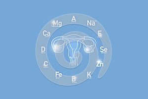 Stylized clockface with essential vitamins and microelements for human health, hand drawn human Uterus, light blue background.