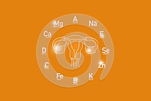 Stylized clockface with essential vitamins and microelements for human health, hand drawn human Uterus, orange background.