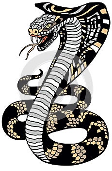 Stylized cobra snake. Isolated vector