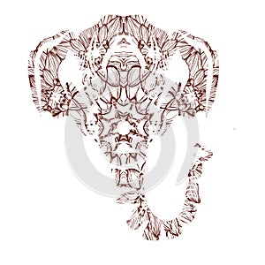 Stylized colorful elephant portrait art on white background. Vector