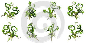 Stylized creeper, PNG transparent background photo