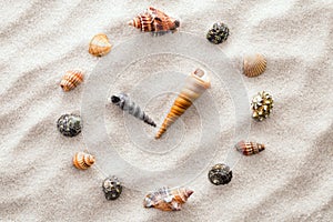 Stylized dial clock for shells on the sand for concentration and relaxation for harmony and balance in pure simplicity