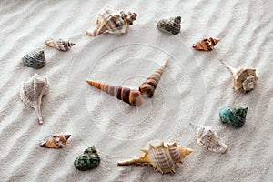 Stylized dial clock for shells on the sand for concentration and relaxation for harmony and balance in pure simplicity