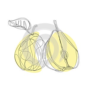 Stylized drawing of pear. Continuous line drawing