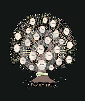 Stylized family tree or pedigree chart template with branches and round photo frames isolated on black background