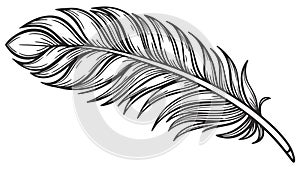 Stylized Feather Design: Decorative Element, Organic Pattern, Artistic Motif, vector design Generative AI