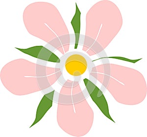 Stylized flower with pink petals and green sepals