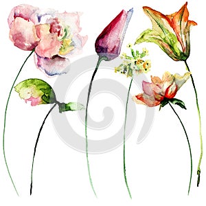 Stylized flowers watercolor illustration