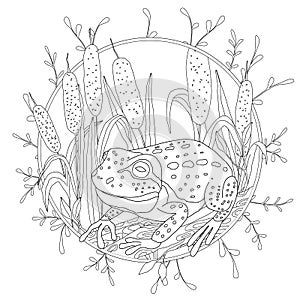 A stylized frog sits among the reeds. Sketch for adult anti-stress coloring